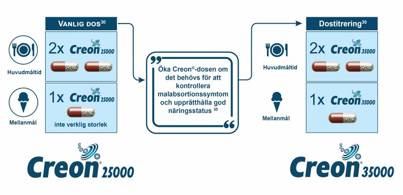 Dosering vid kronisk pankreatit e-detalj: CRE-2020-1148 (sida 30)