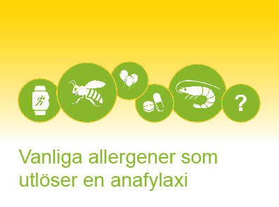 Vanliga allergener som utlöser en anafylaxi 