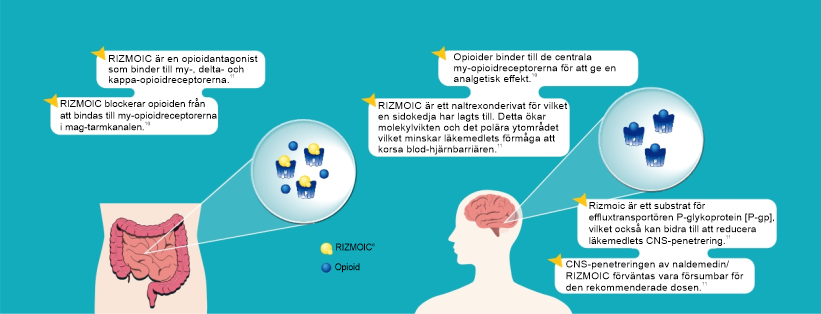 Rizmoic: behandling av opioidinducerad förstoppning